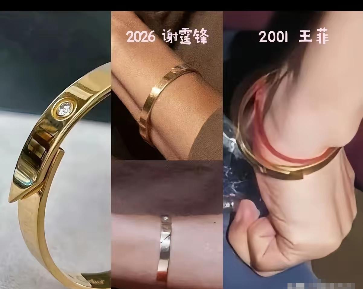 谢霆锋在港大讲AI，台下学生不看PPT，全盯着他手腕上那只26年前的旧手镯。