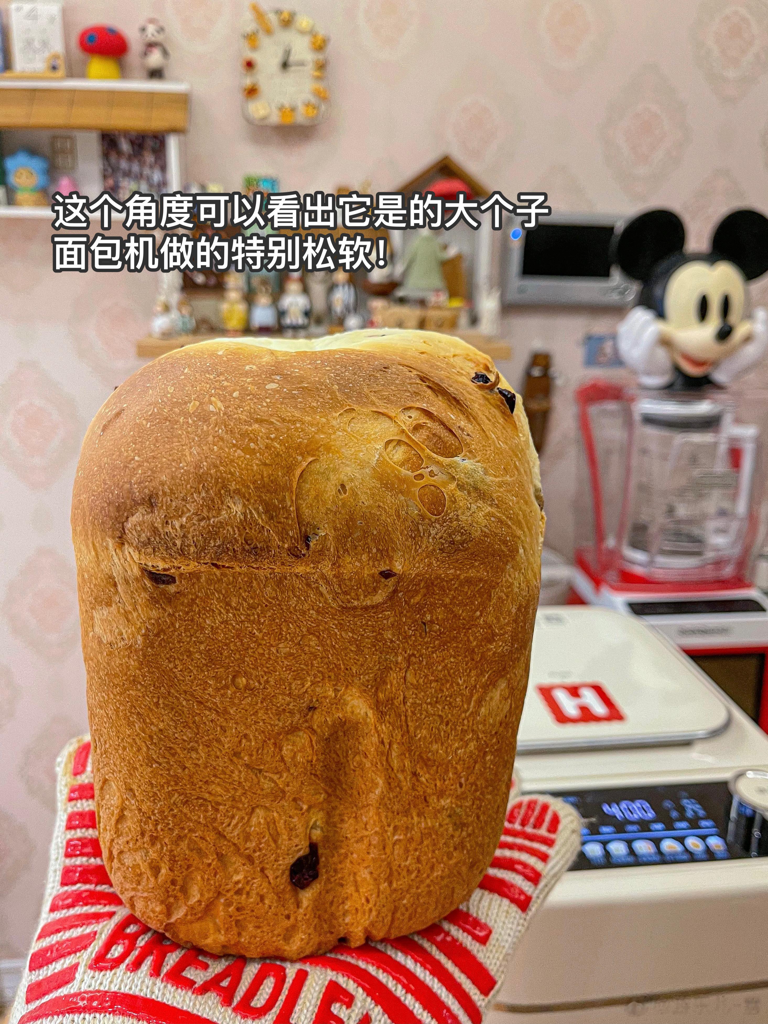 北海道蔓越莓手撕吐司（海氏面包机版）一键自动做出美味的面包。又软又嫩！特别适合撕