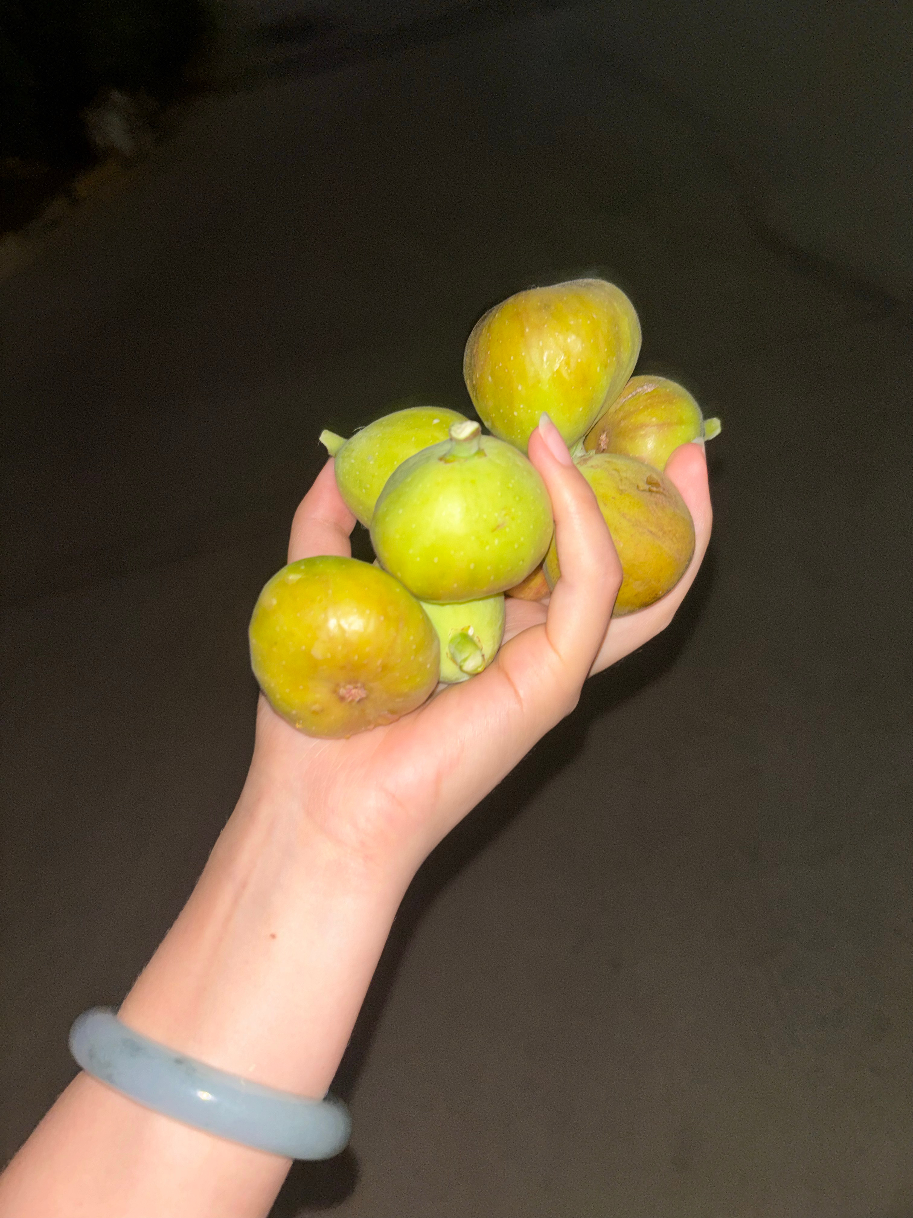 昨晚上遛狗路过摘了一把无花果 ​​​