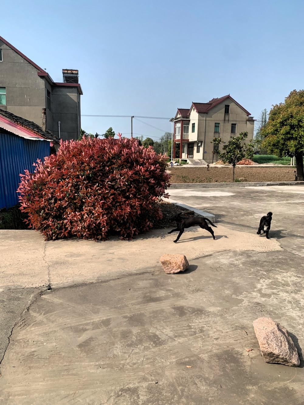 社会上有这样的人，
每月都和一群朋友聚在一起吃喝玩乐。
手头宽裕时，隔三岔五就约