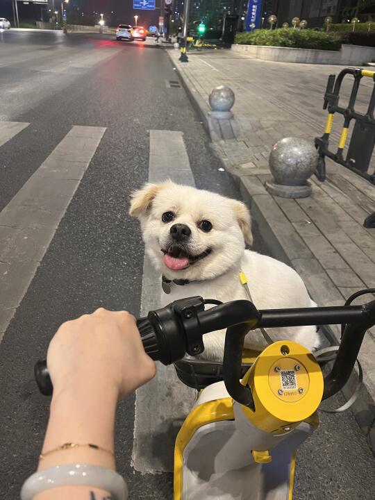 当妈妈半夜想微醺一下