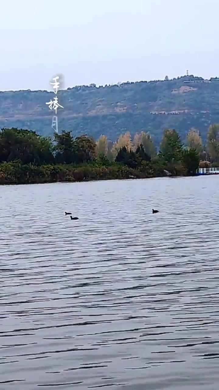 这山河万里，总有温柔关于你。是海浪和潮汐，是微见流云。我看厦的心迹寻千里万埋，再
