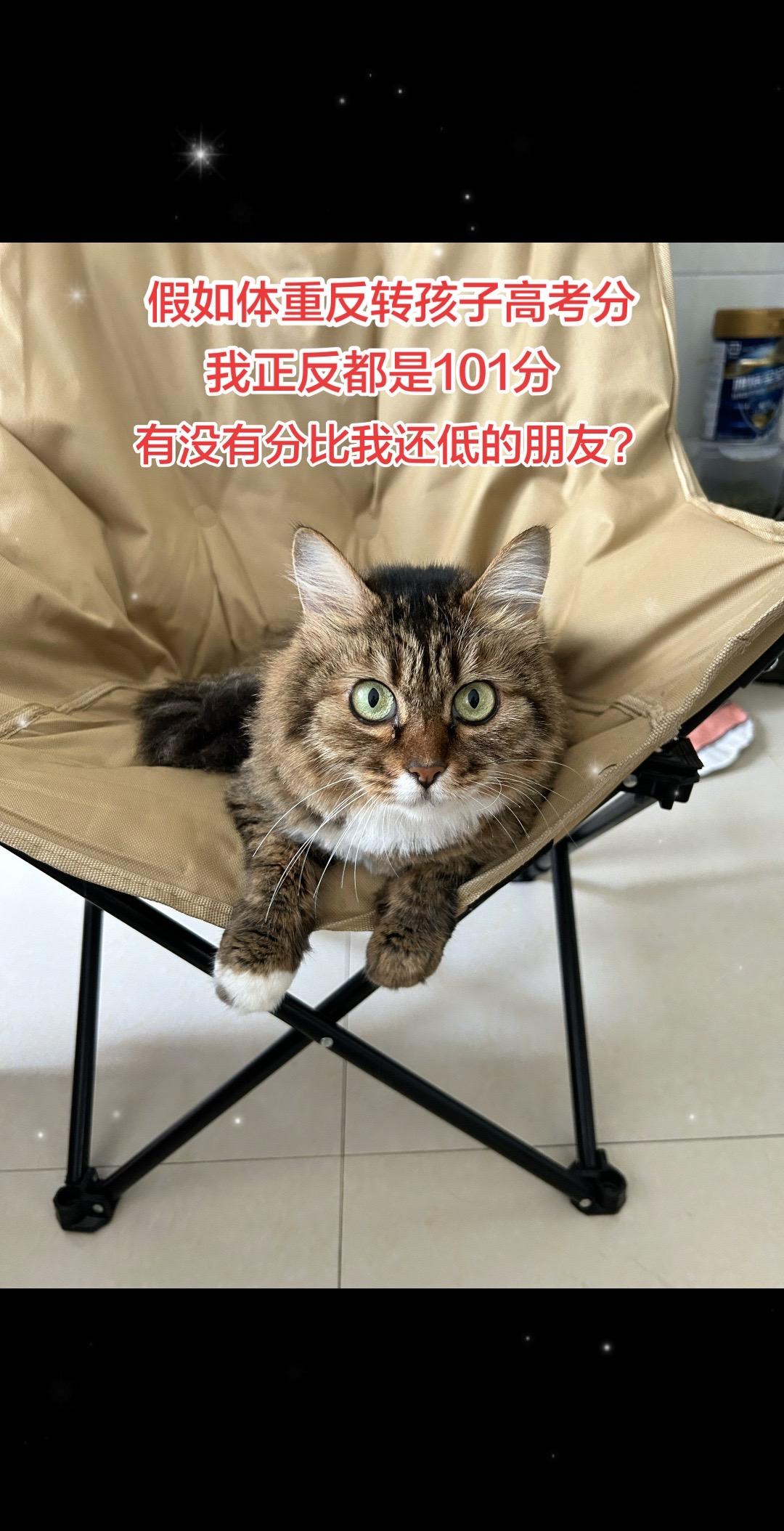 假如体重反转就是孩子高考分数，我横竖都是101分，无缘北大清华，评论区来比比谁的