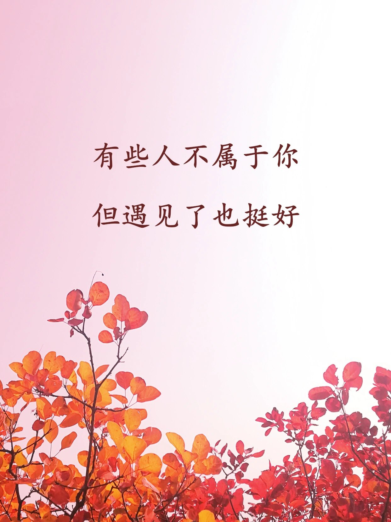 “人间皆浪漫” ​​​