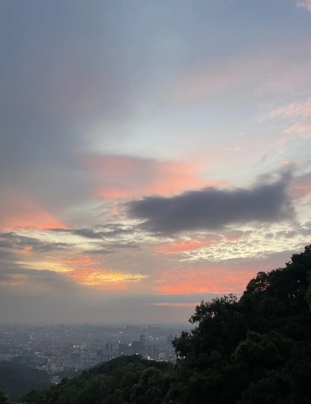 白云山5块钱精神避难所！！
真的会被广州这个神仙地方感动到！！
一进门就像闯进绿