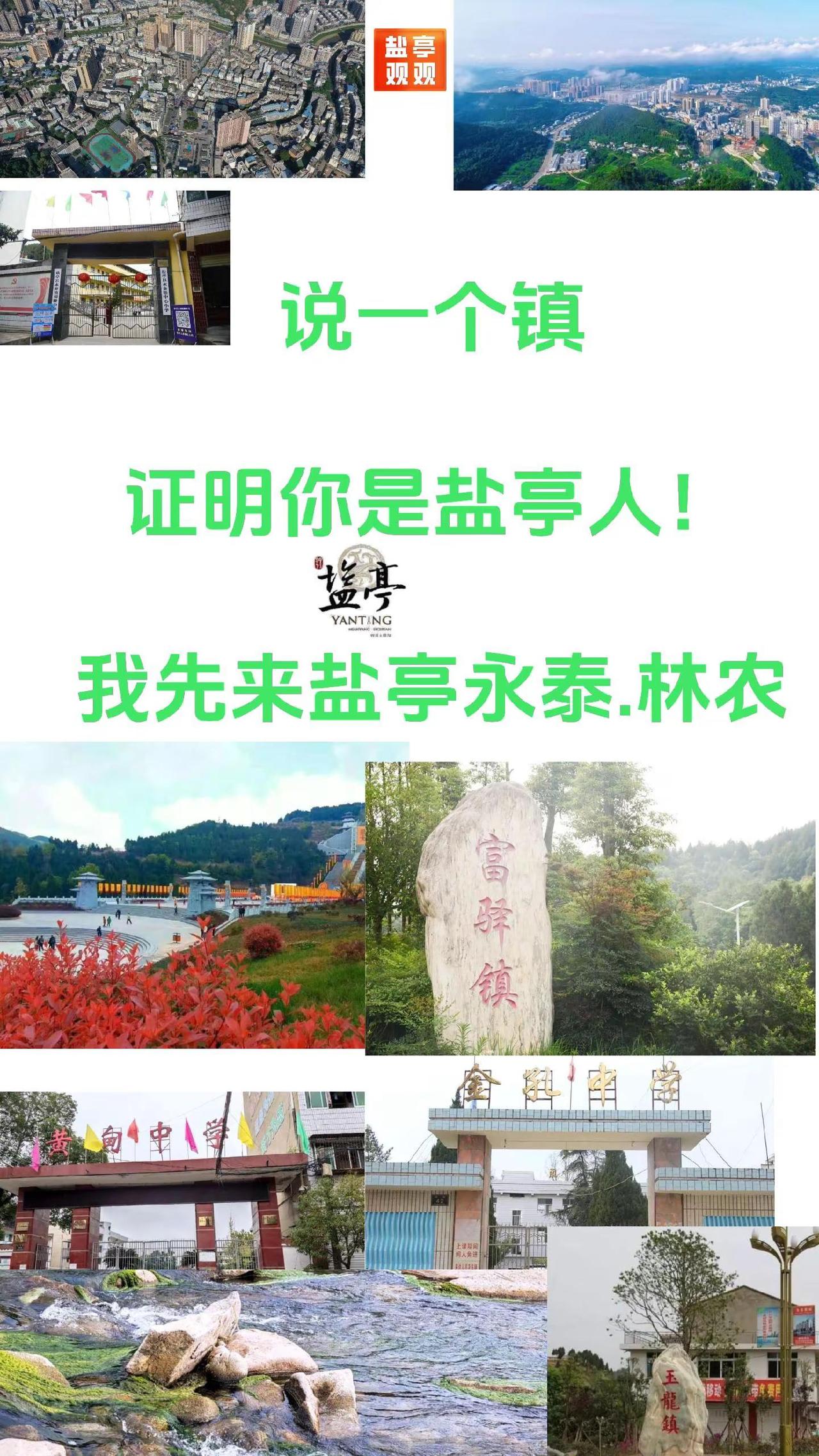 说一个镇证明你是盐亭的，我先来，永泰.林农