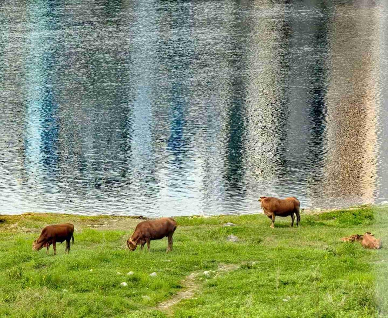 我的今日状态：😁轻松愉快
我这里的天气：🌤️多云