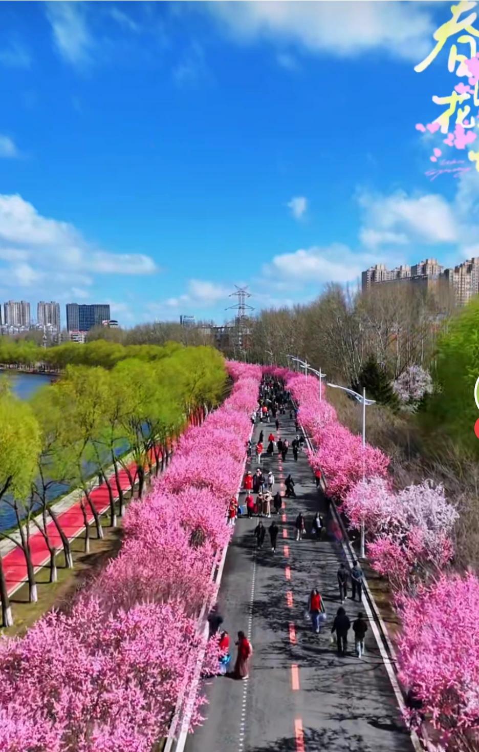 社会发展了，把余钱投到人民的衣食住行上。改善人民的生活，本来就是社会发展的宗旨。