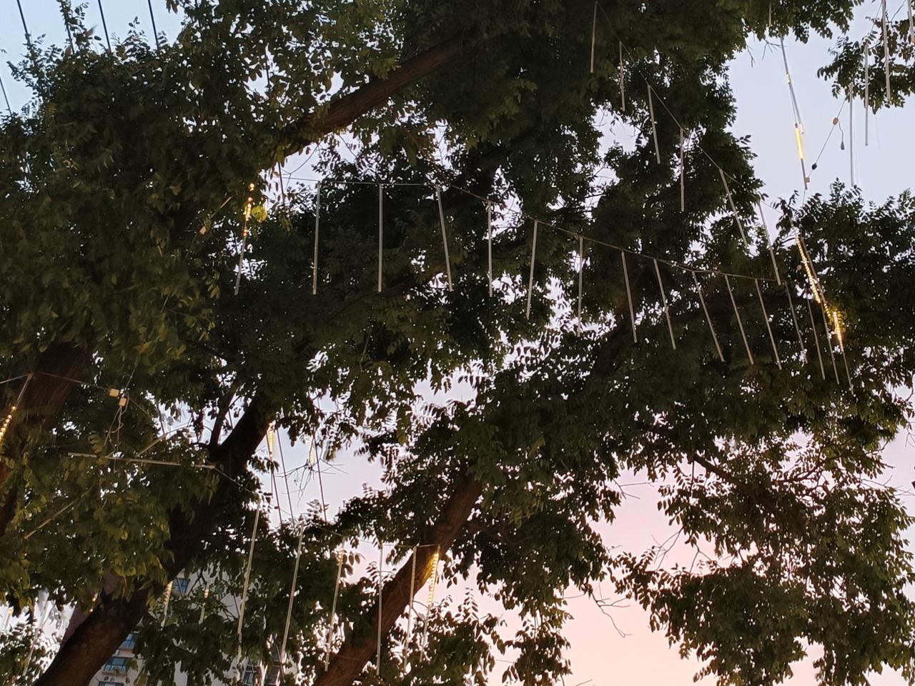 奔赴生活，步履不息，始终以热忱奔赴前路。
漫漫人生路，起落浮沉皆是修行，荆棘坎坷