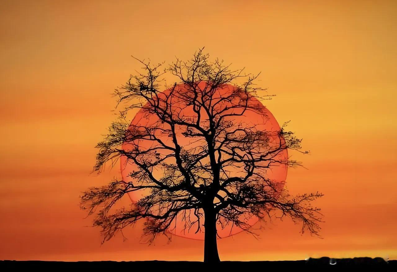 一定要警惕，
尽量不要，
和很久没有见面，
很久没有联系的人，
再有任何交集。