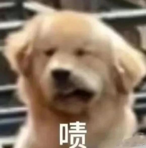 朱丹吃了40多年鸡蛋才发现过敏 一生倔强的中国人宁愿怀疑自己挑食都不会承认过敏，