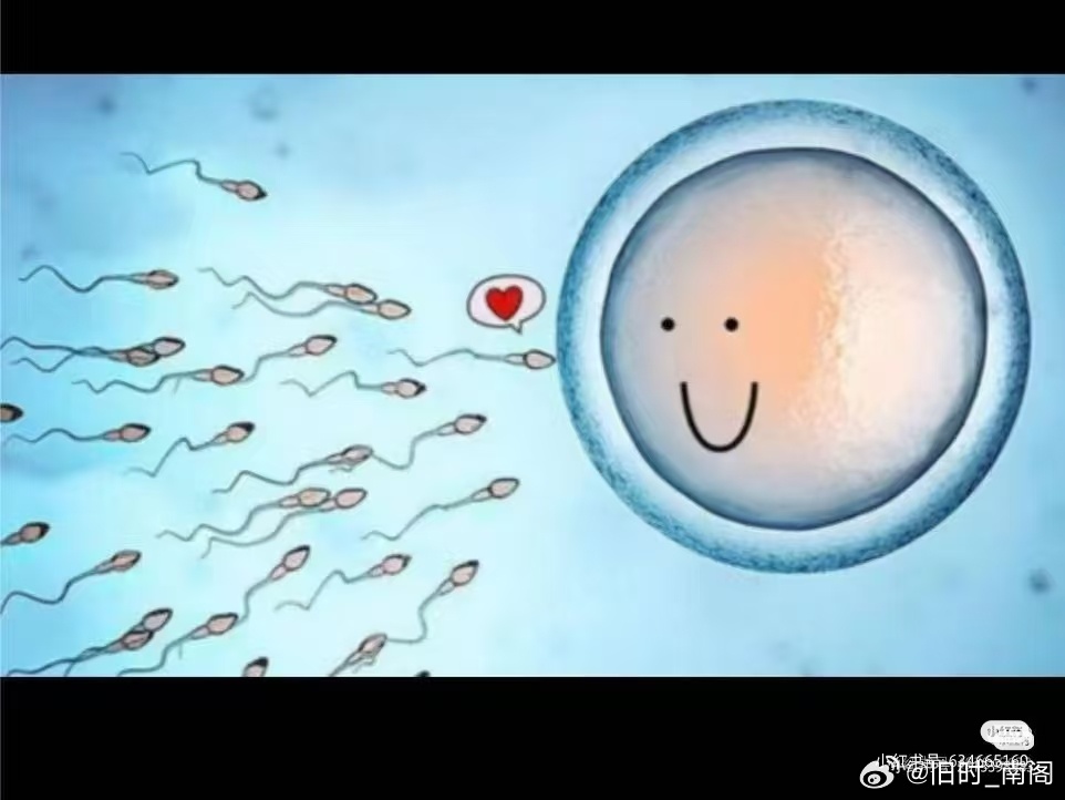 笑死，终于看到和我第一眼反应一样的米米了