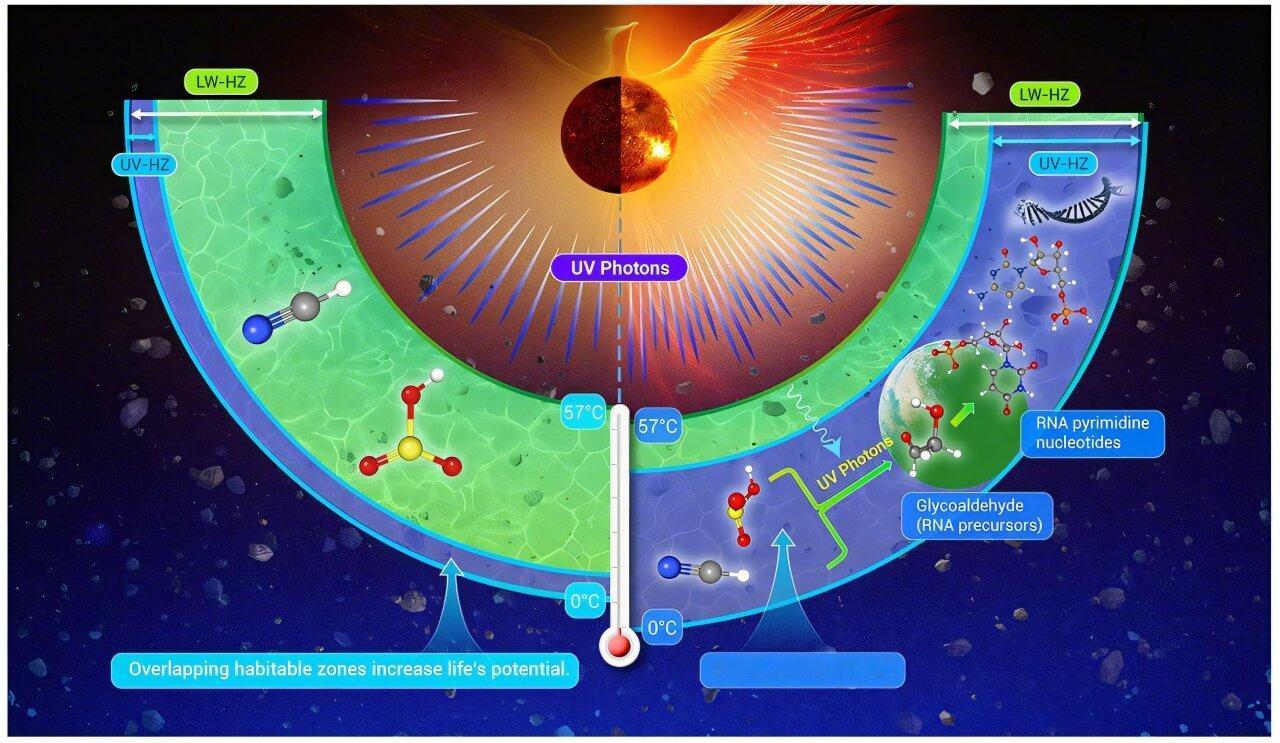 银河系里数量最多的恒星，恰恰是最暴躁的那种。M型红矮星占了银河系全部恒星的大约七