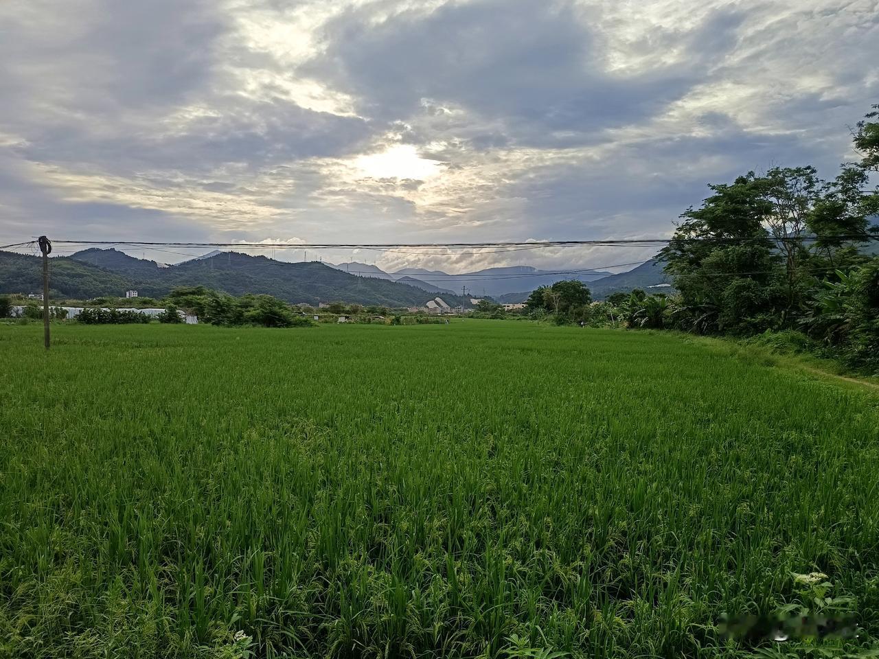 你们那里还有人耕田吗？
……