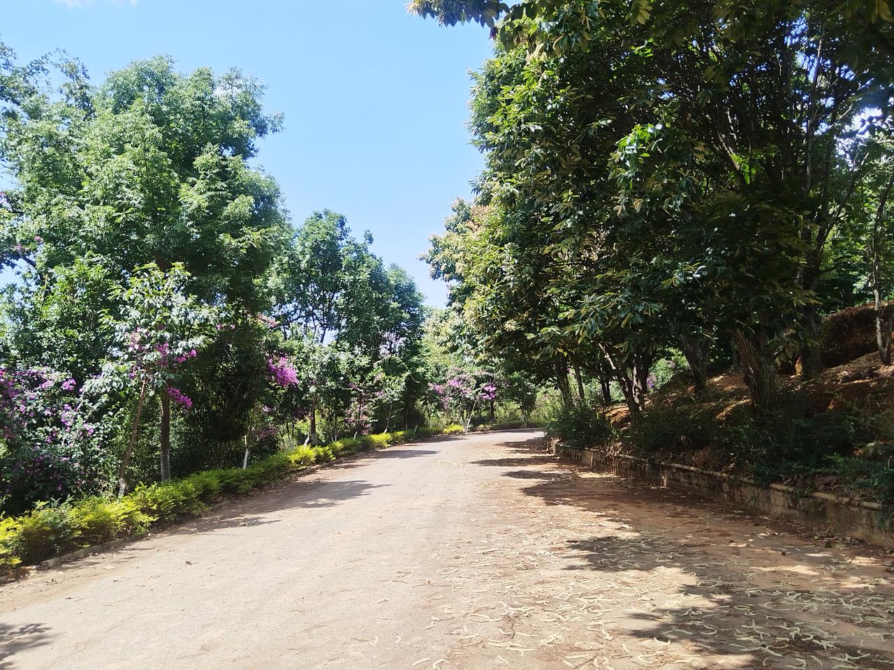 山上的风景美