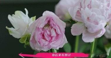 王琳有自己的少管我  她说：“如果我在思想上不依赖你...”这句话直击我心，感谢