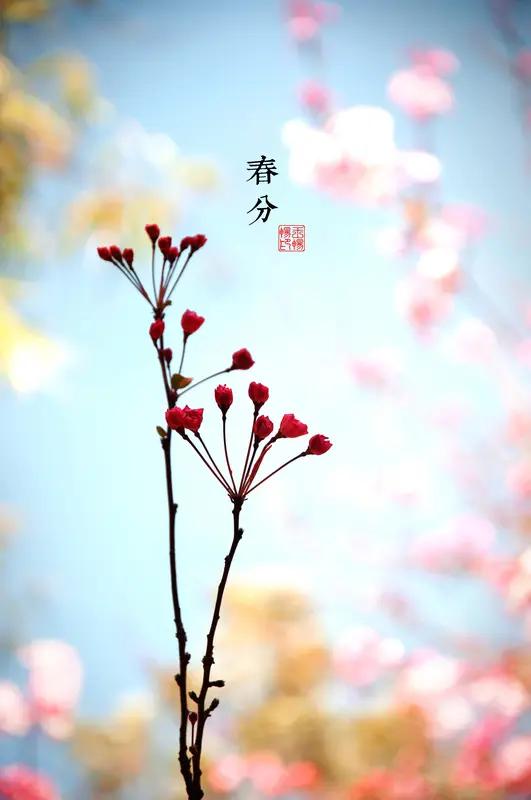 今天太特别了！春分遇上二月二，可谓是龙凤呈祥、双喜临门，这种好日子几十年难遇一次