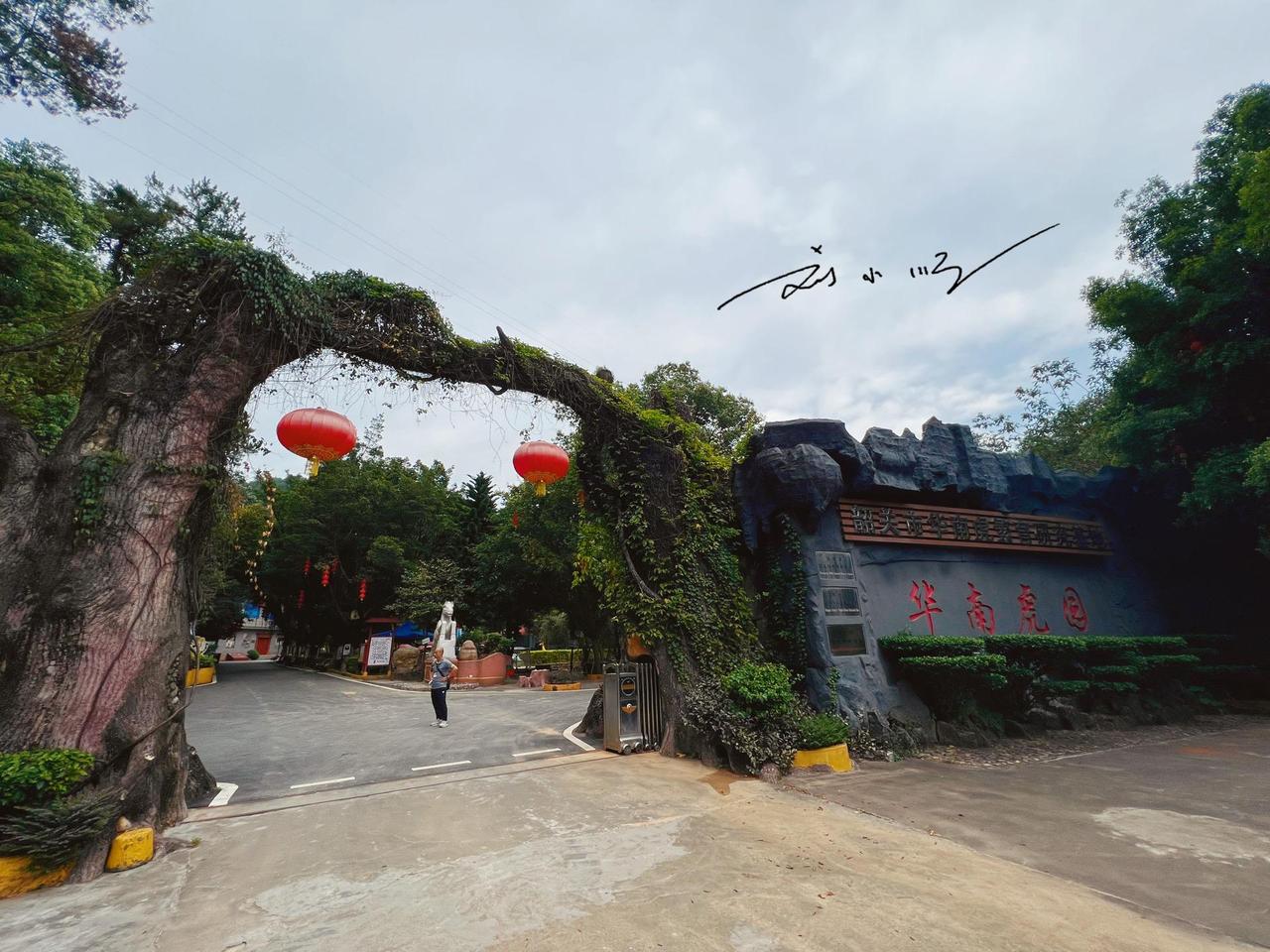 广东韶关有个“华南虎园”，可以与华南虎亲密接触，游客都来打卡？

前段时间，我到