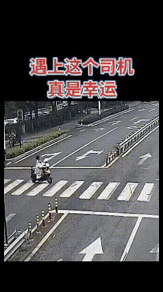 非常不明白，都看到大车过来了，为什么还要硬着往前走？心里是怎么想的呢？