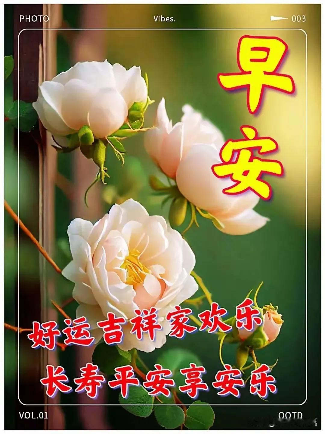 早安！愿你每天好运相伴，幸福安康！🌹🌼