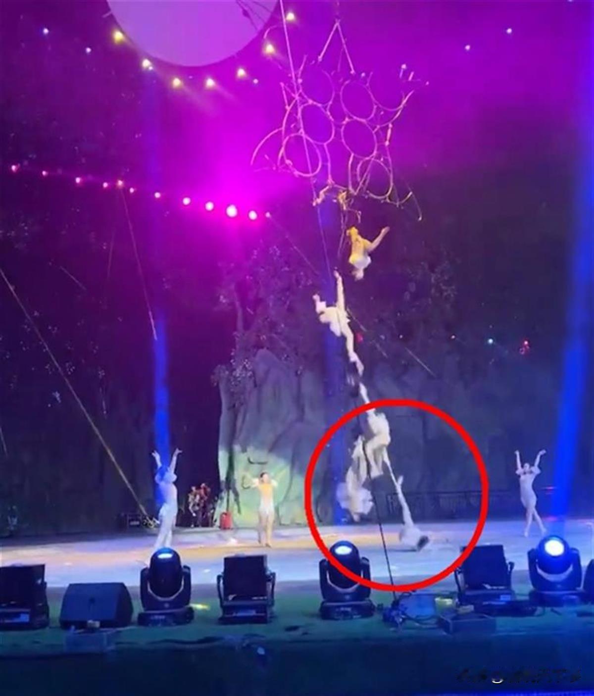 又是马戏团，这是第几次了？福建厦门，一马戏团的演员在表演时发生意外，从高空中坠落