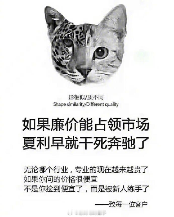 低价内卷并不是品牌突围之道，反而是作茧自缚... 