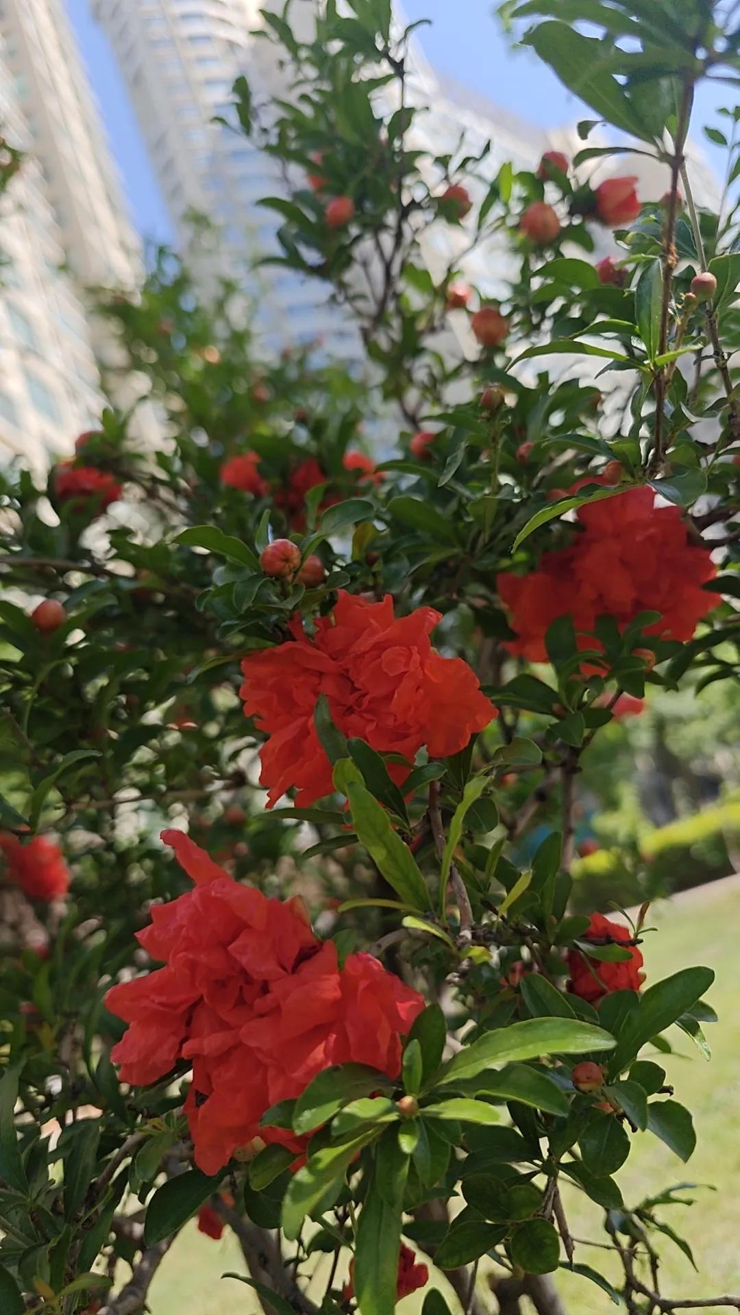 祝师友们节日快乐哟！