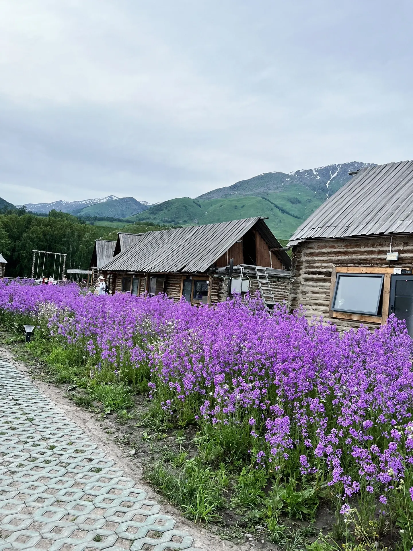 治愈系风景 住进风景里 禾木村 新疆