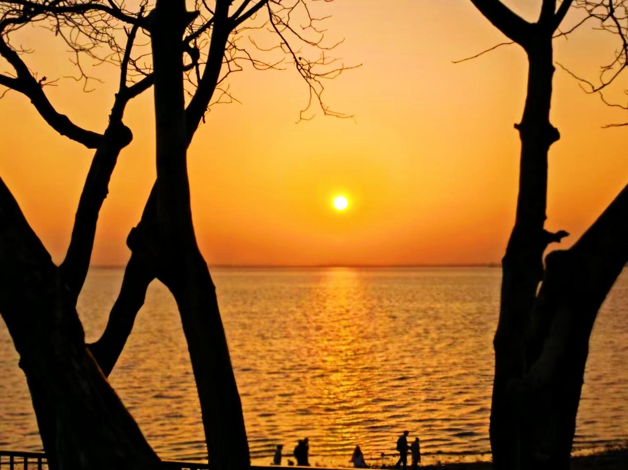 公园美丽景随拍