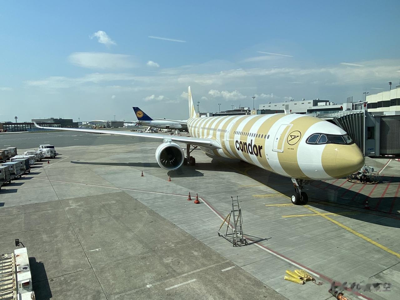 组图：神鹰航空公布新A330neo涂装和商务舱内饰
5月15日，神鹰航空公司公布