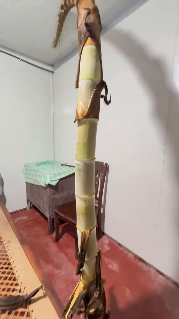 你瞅瞅，这怎么弄我这，你瞅瞅。