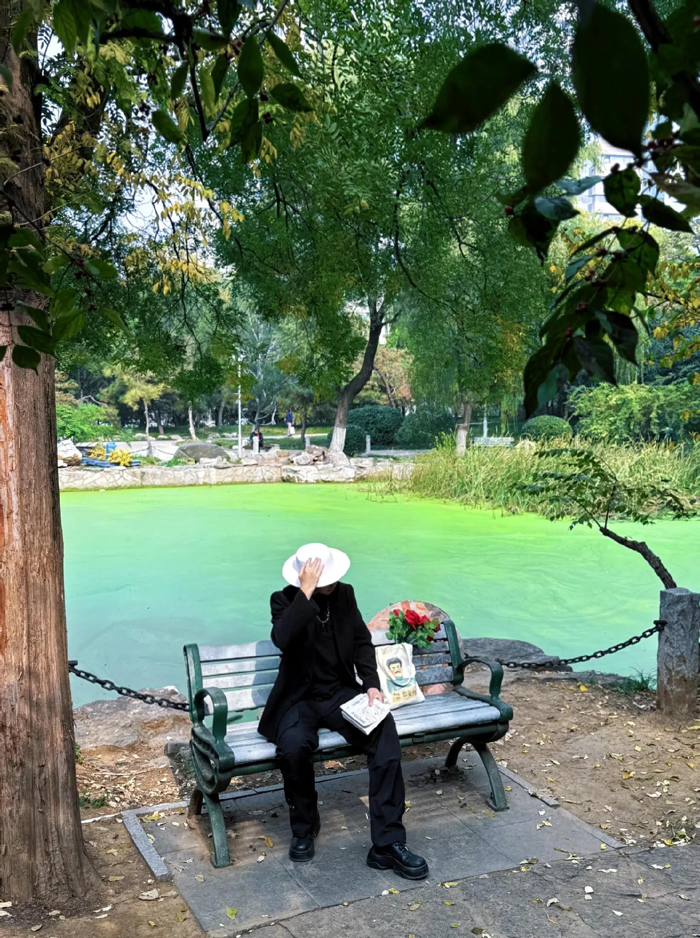 我在济南发现了一片抹茶色的湖，满意绿意甚是治愈 🏠：济南泉城公园东北...