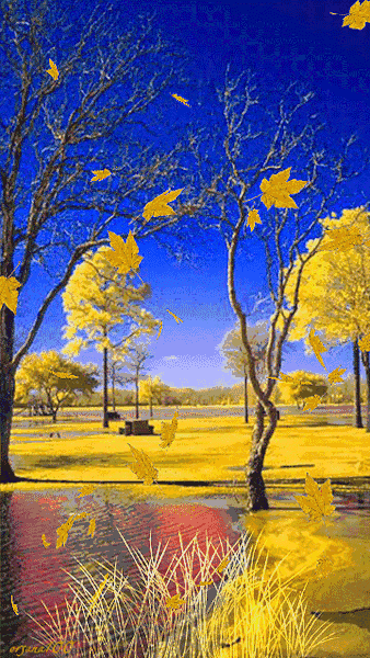 #情感#                     《无题》凉风吹动梧桐枝，玉脍银