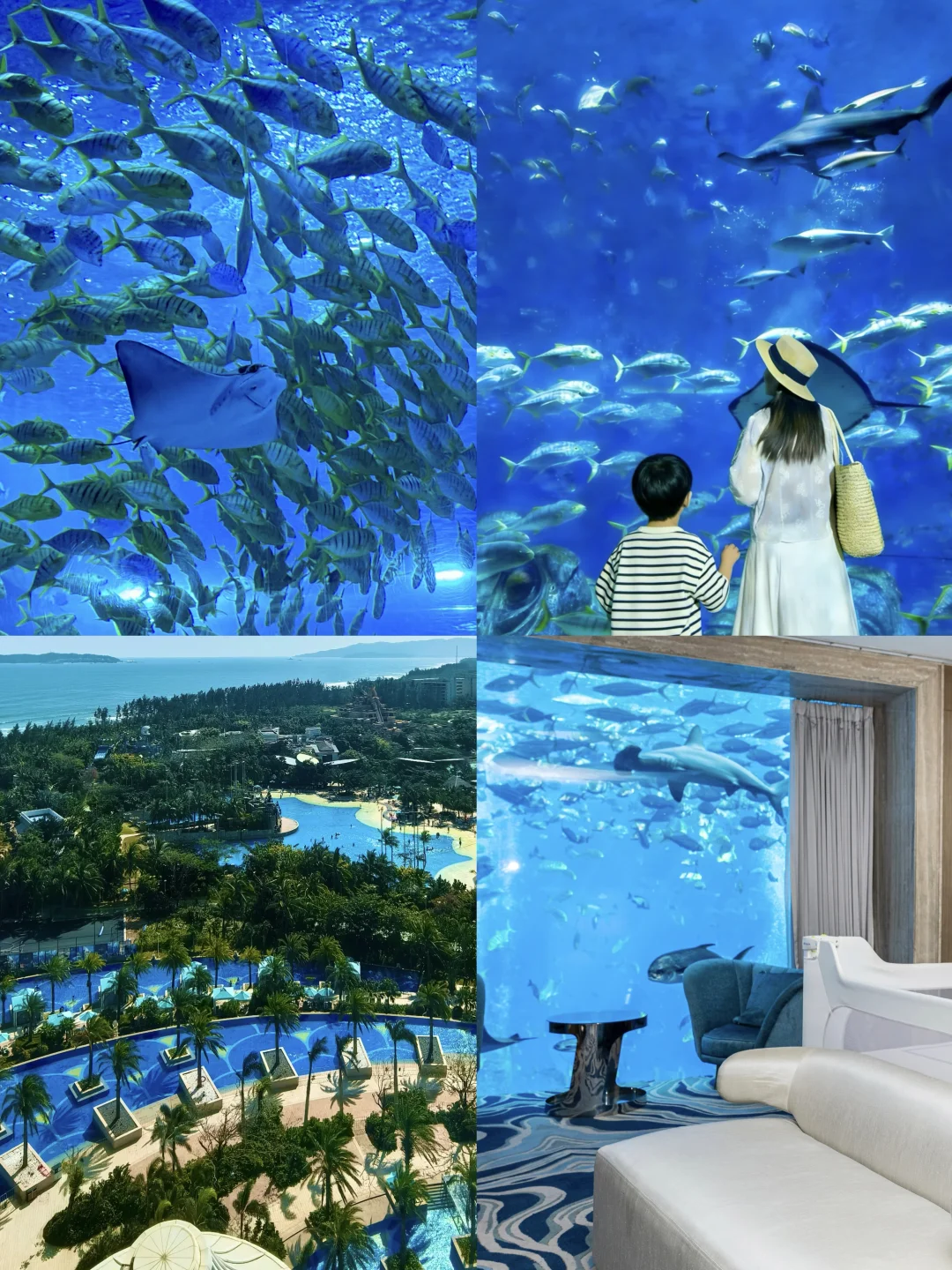 亲子度假的天花板❗️睡在海底世界里❗️