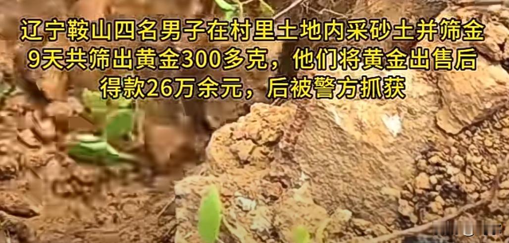 9天26万元，所以说资源太重要了。
今日看到，辽宁鞍山4人在村里采砂筛金，9天筛
