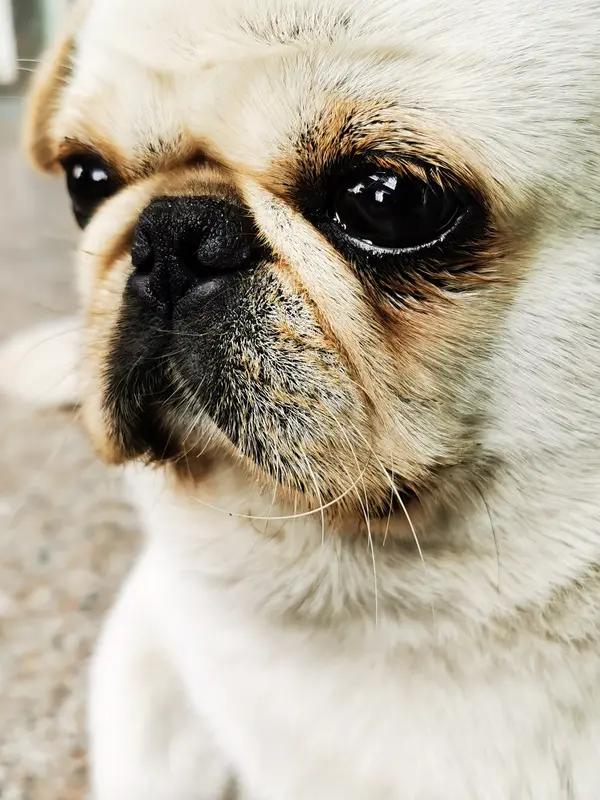 很多时候，我们痛苦，不是因为事情太难，而是因为我们总在“要求别人配合自己的节奏”