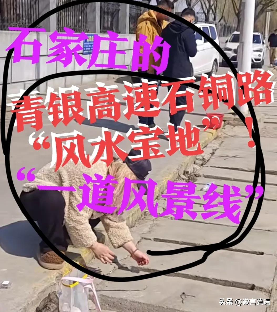 【风水宝地！石家庄】石家庄的鹿泉石铜路“排水沟”，成了大小龙虾🦞生存的“宜居的