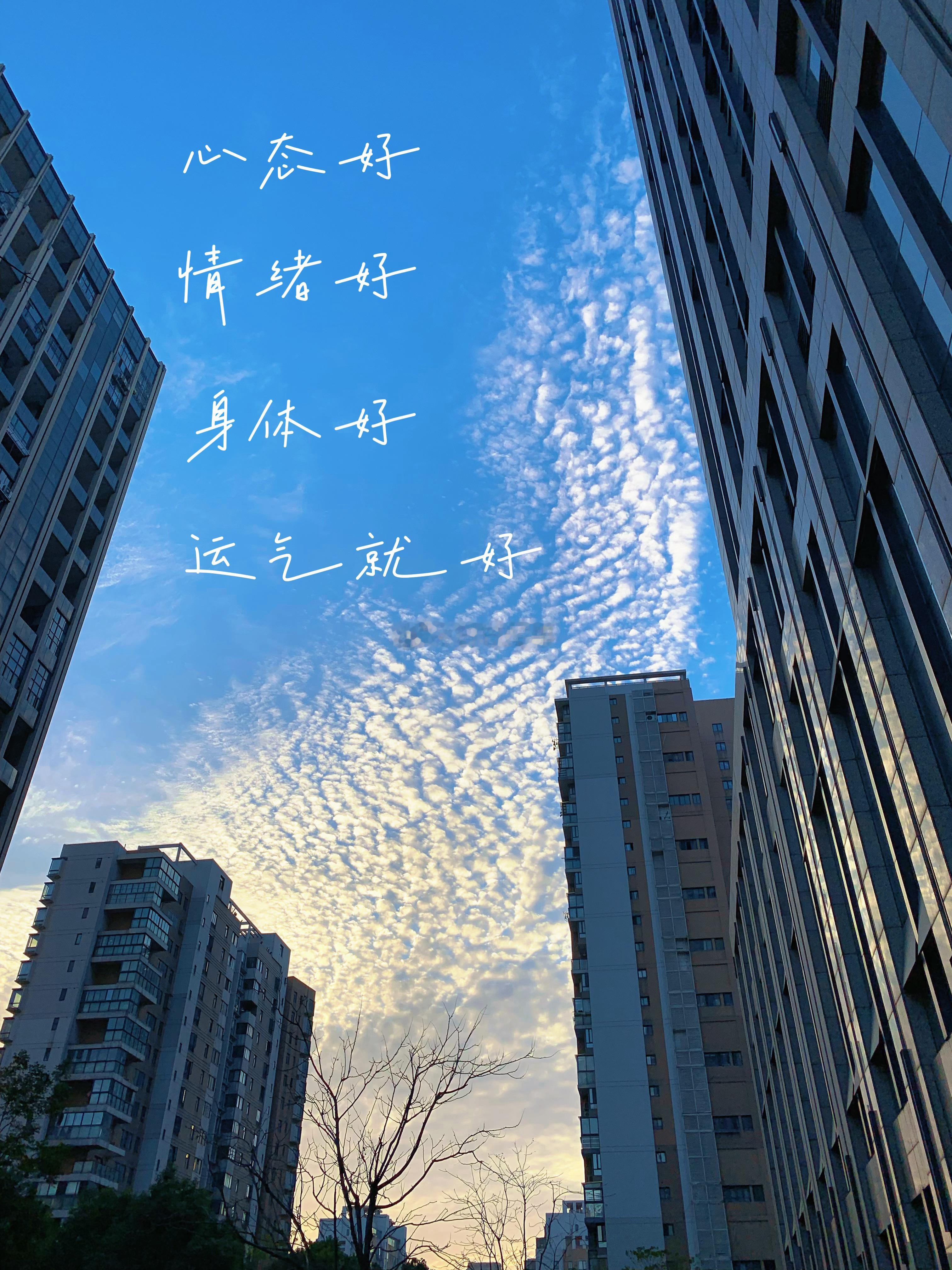 噫，发现你来看我了哦~今天过得怎么样？需要喝点鸡汤吗