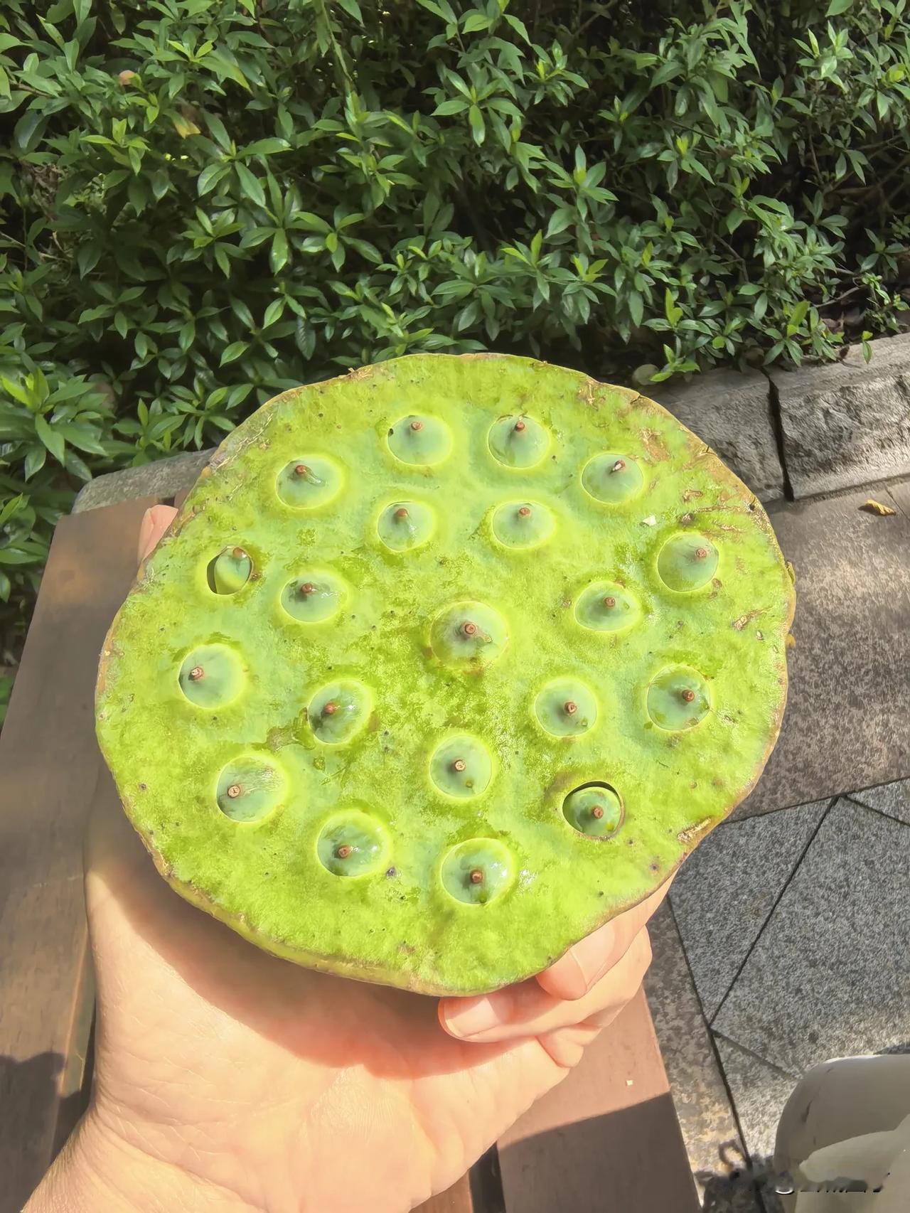 曾经我不刷抖音，也瞧不上抖音。现在经常刷，有时刷着刷着就笑了。

今天刷到一个博