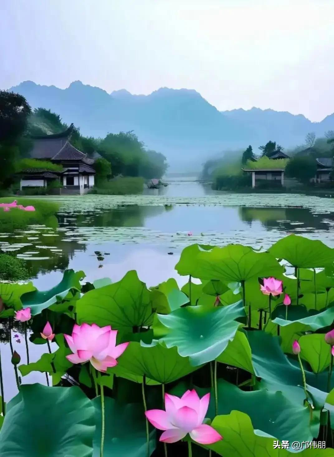 七律·世路难期
世路荣枯岂易量，
风来骤雨打寒塘。
花残野岸凭谁护，
雁断寒云只