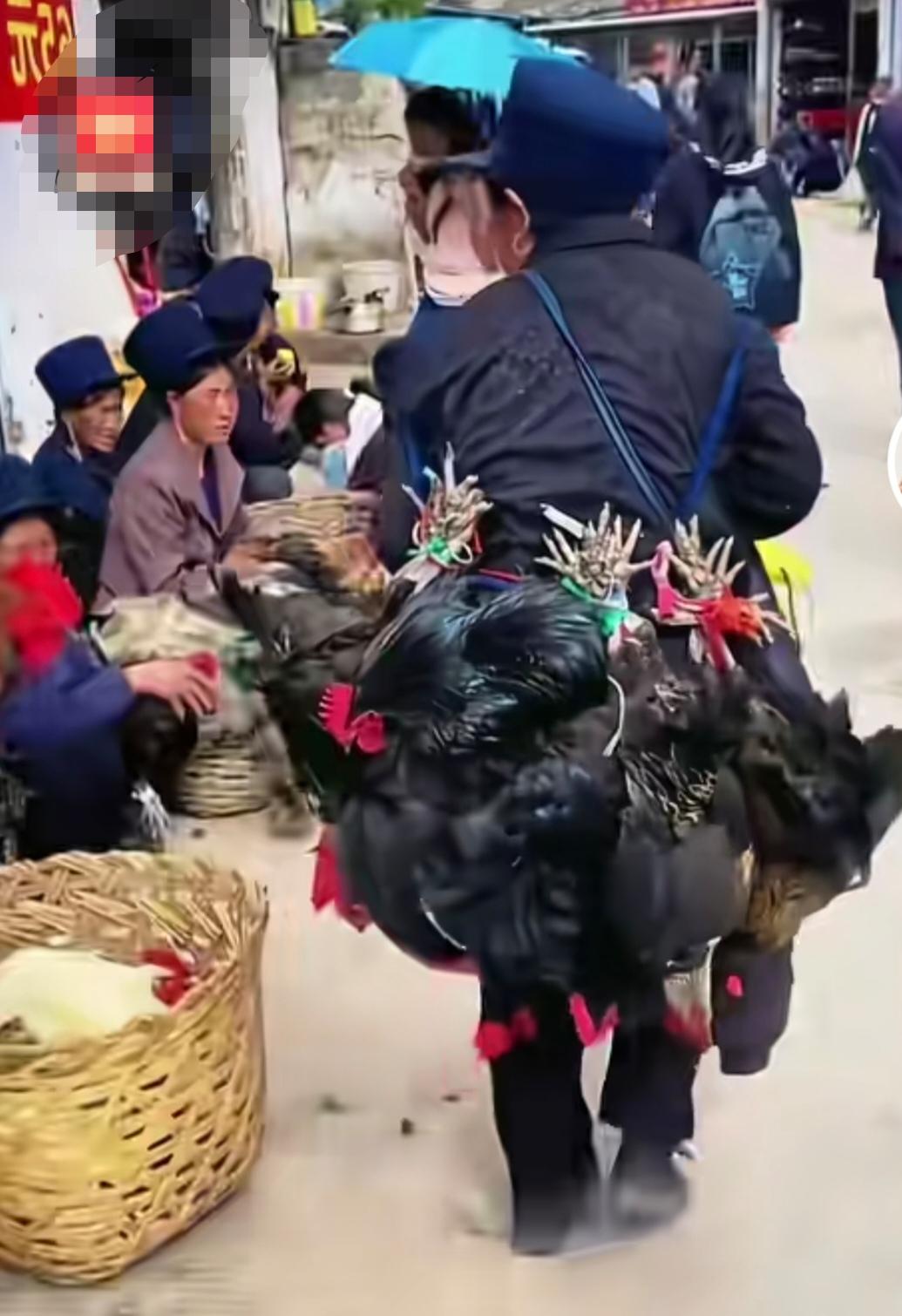 大凉山的赶街天，生存就是这样残酷——他们手中抱着的不是鸡，而是生活的寄托与期盼…