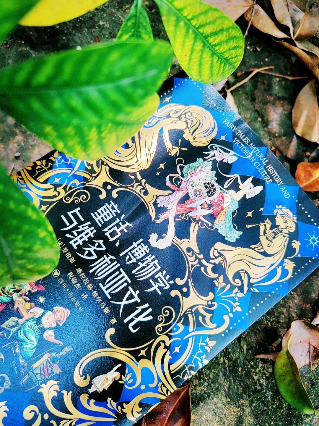 春日书单|灰姑娘为何非要有一双玻璃鞋？