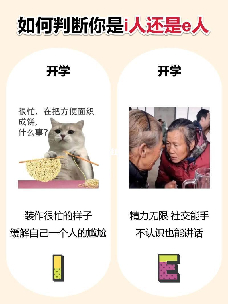 考场门开刹那，I人与E人的反差惊艳全网！你