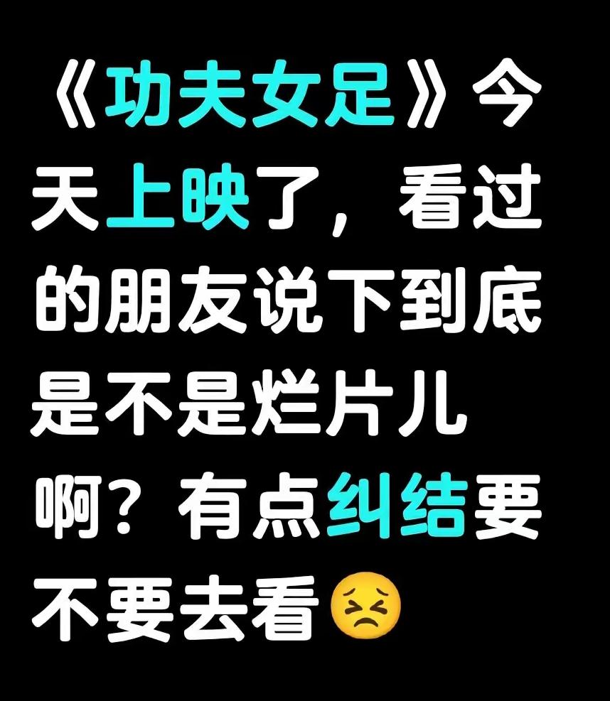 《功夫女足》上映，去不去看着实让人纠结。影片投资3.8亿，近半花在特效上，全片1