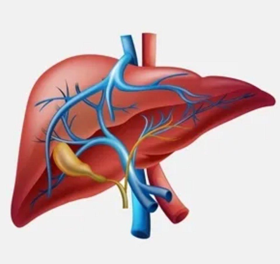 肝脏异常的4类指标，看完少走10年弯路！ 1、谷丙转氨酶的升高。正常情况下，谷丙