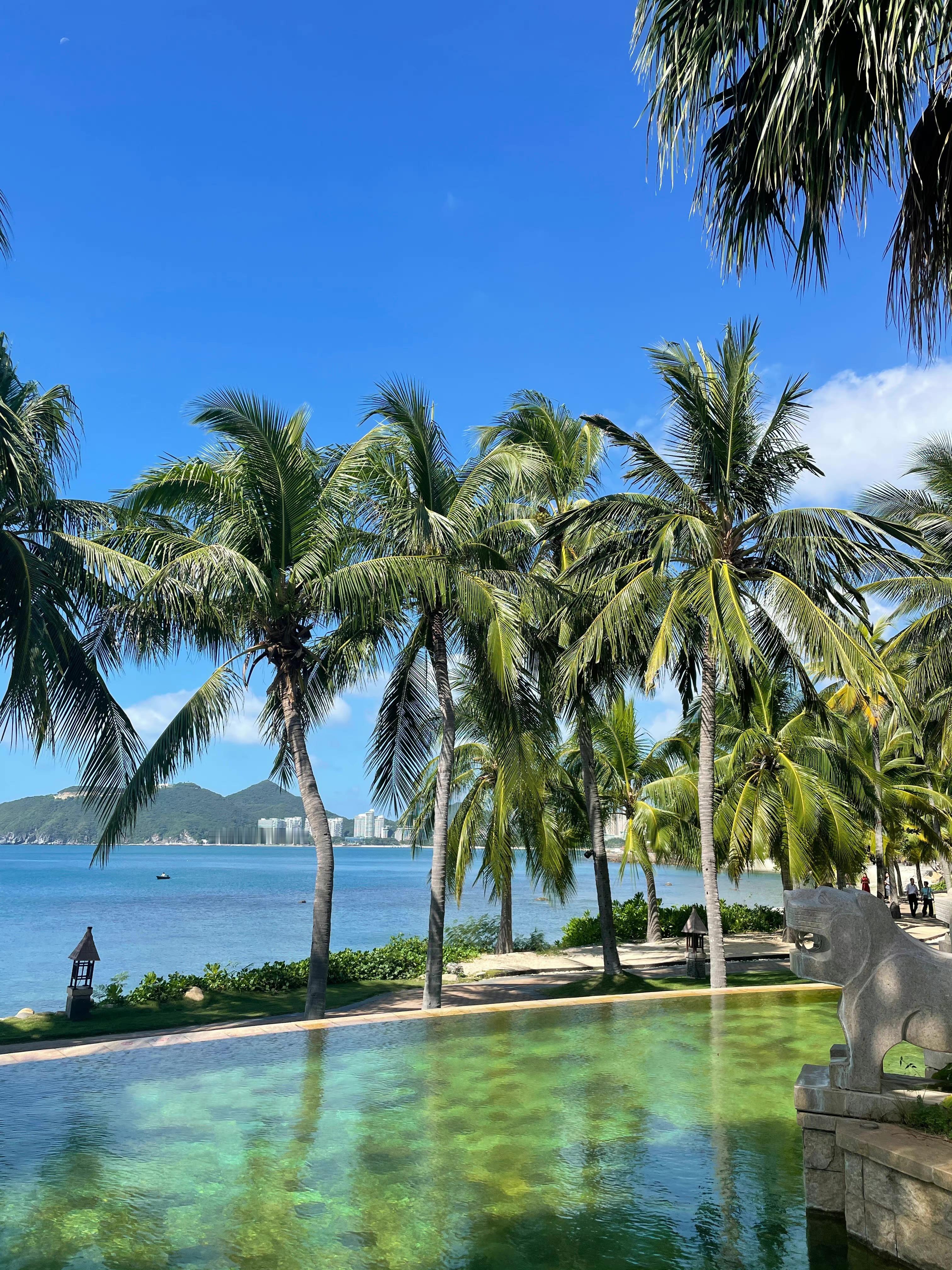 放慢一年的脚步 给自己放个假🌴🌊  ​​​