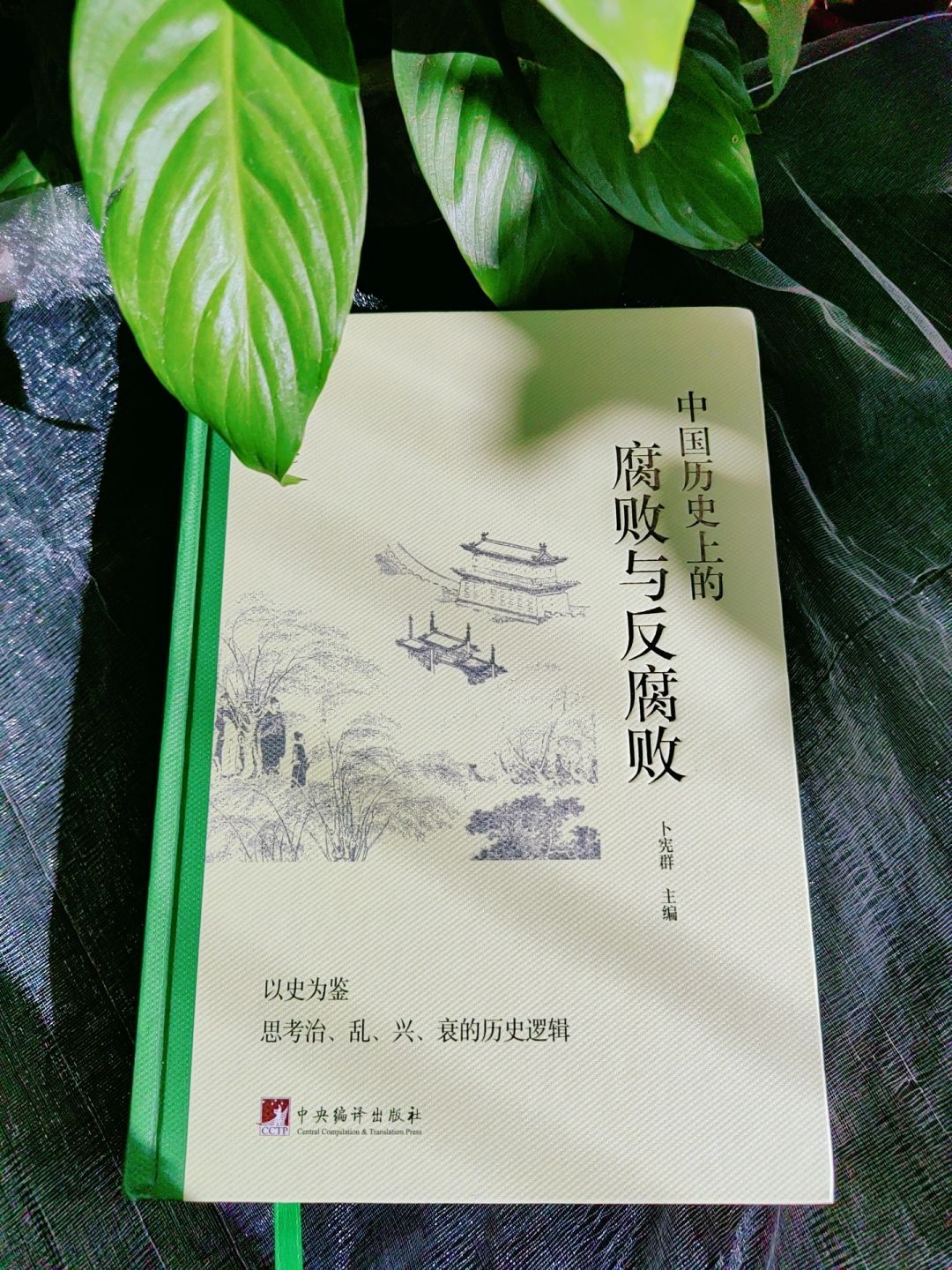 严嵩、和珅们的崛起与灭wang！