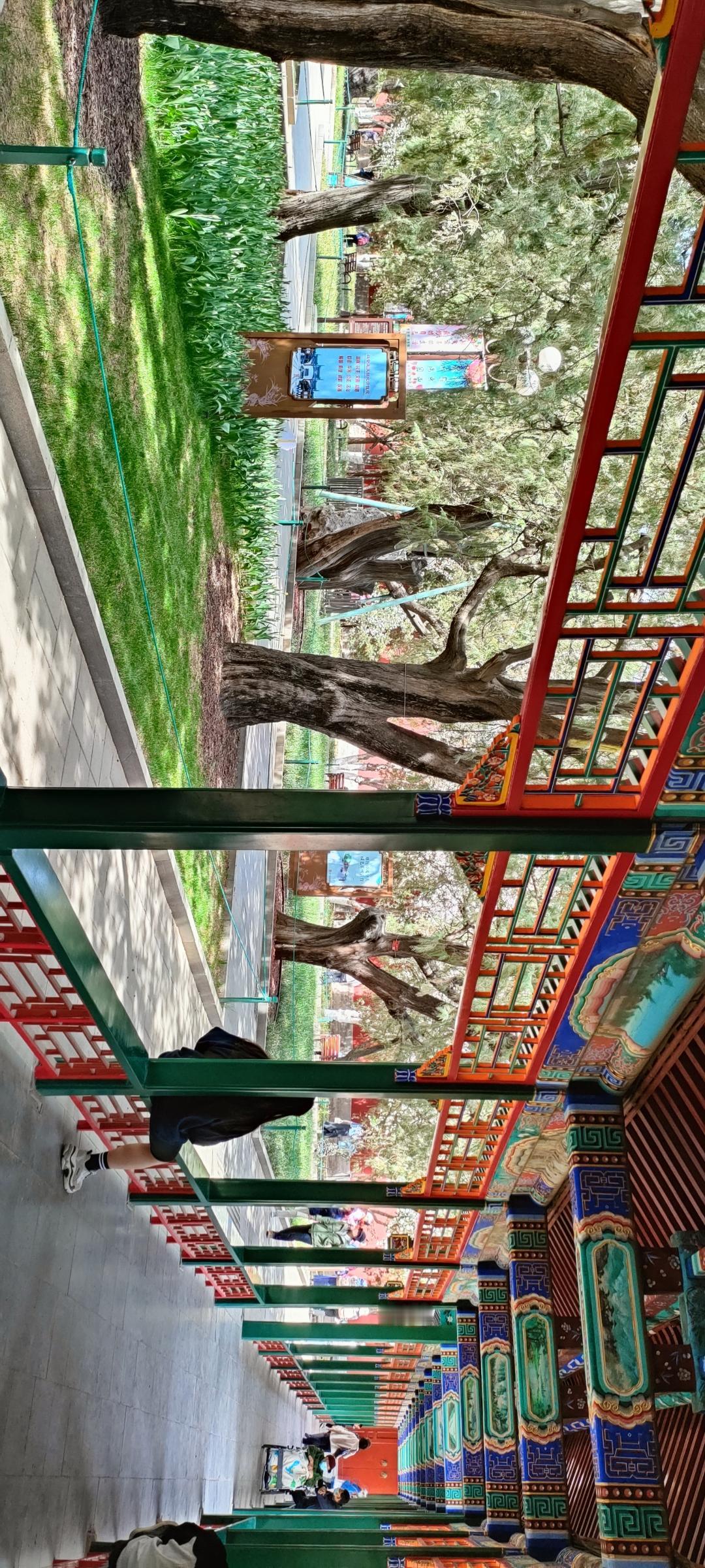 漫步在色彩斑斓的长廊，感受传统与自然的完美融合。