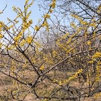 我的今日状态：😭伤心难过
我这里的天气：🌤️多云