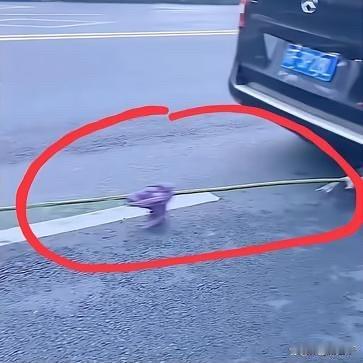 青竹引路，紫衣为幡。

灵车缓缓，一竿翠竹系着紫衣，这是苏州最古老的送别方式——